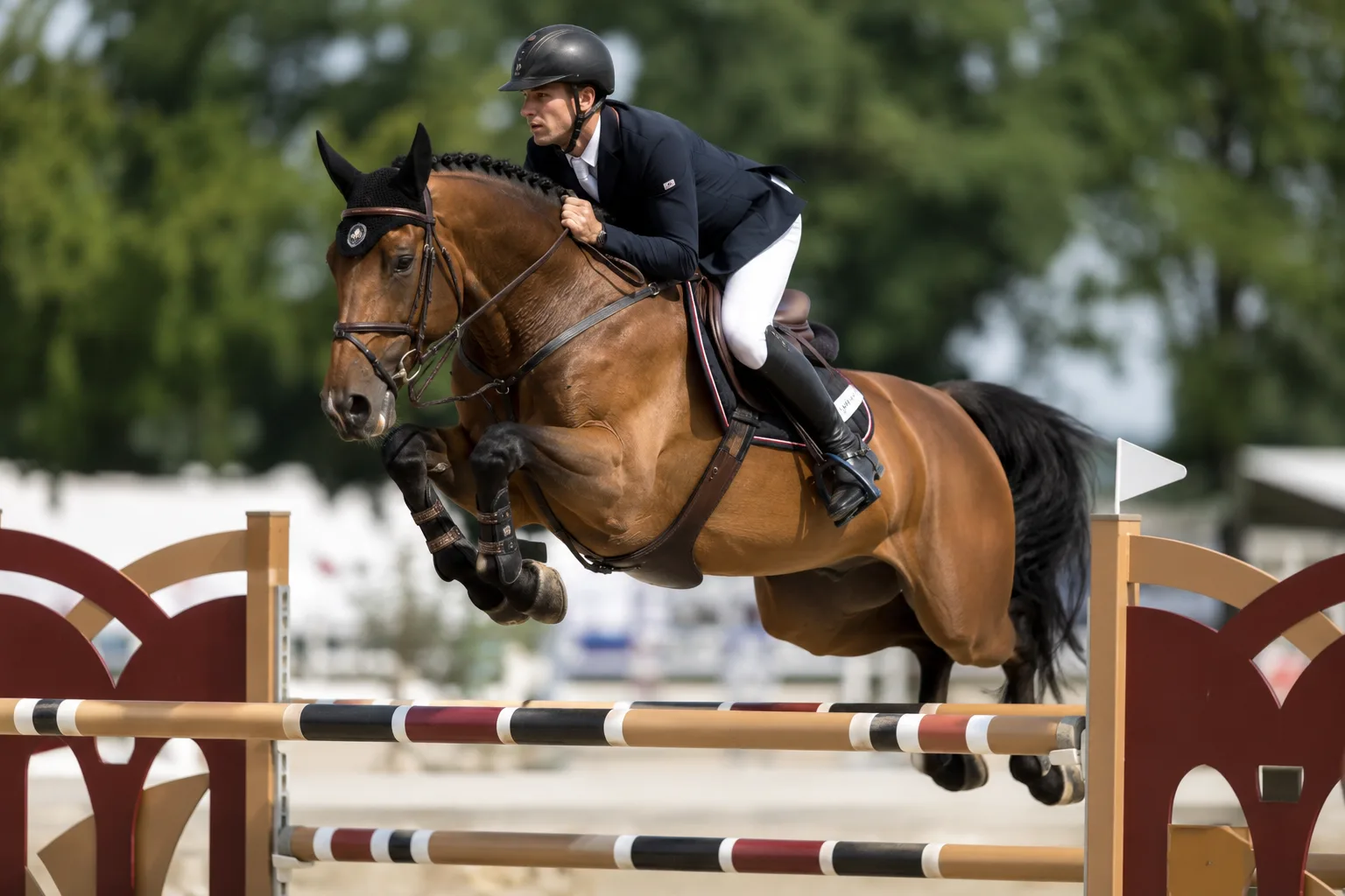 Holsteiner en pleno salto de obstáculos, franqueando una barra alta con potencia y agilidad.