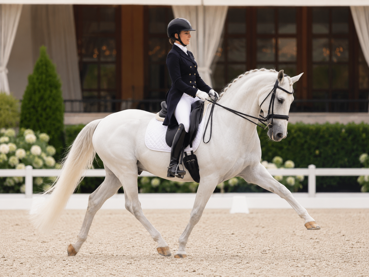 Baluchi : identification de race équine, robe du cheval, morphologie et notation de l'état corporel. Gestion complète du profil et de l'identité du cheval.