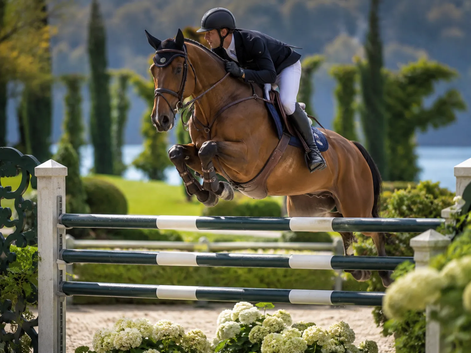 Cavalier et cheval franchissant un obstacle en concours