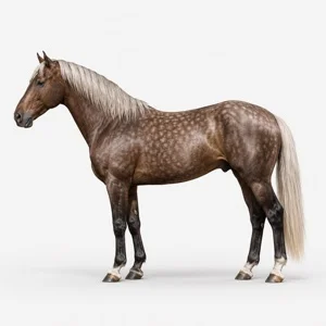 Grigio pomellato